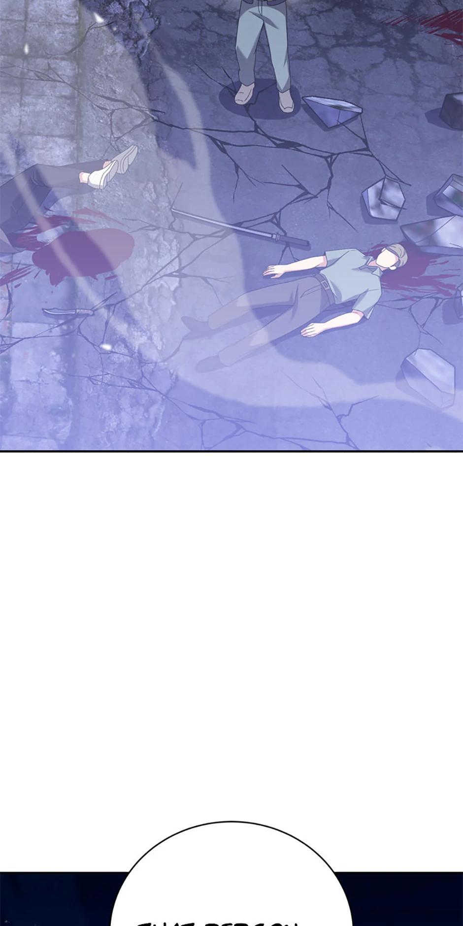The Novel