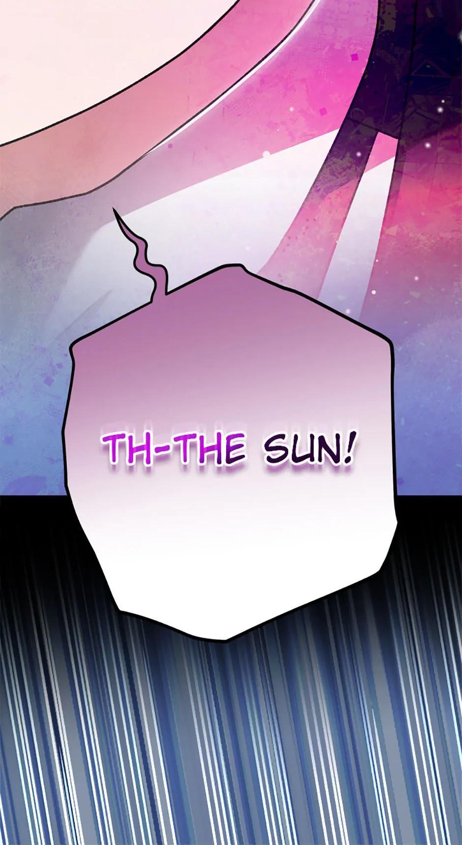 The Novel