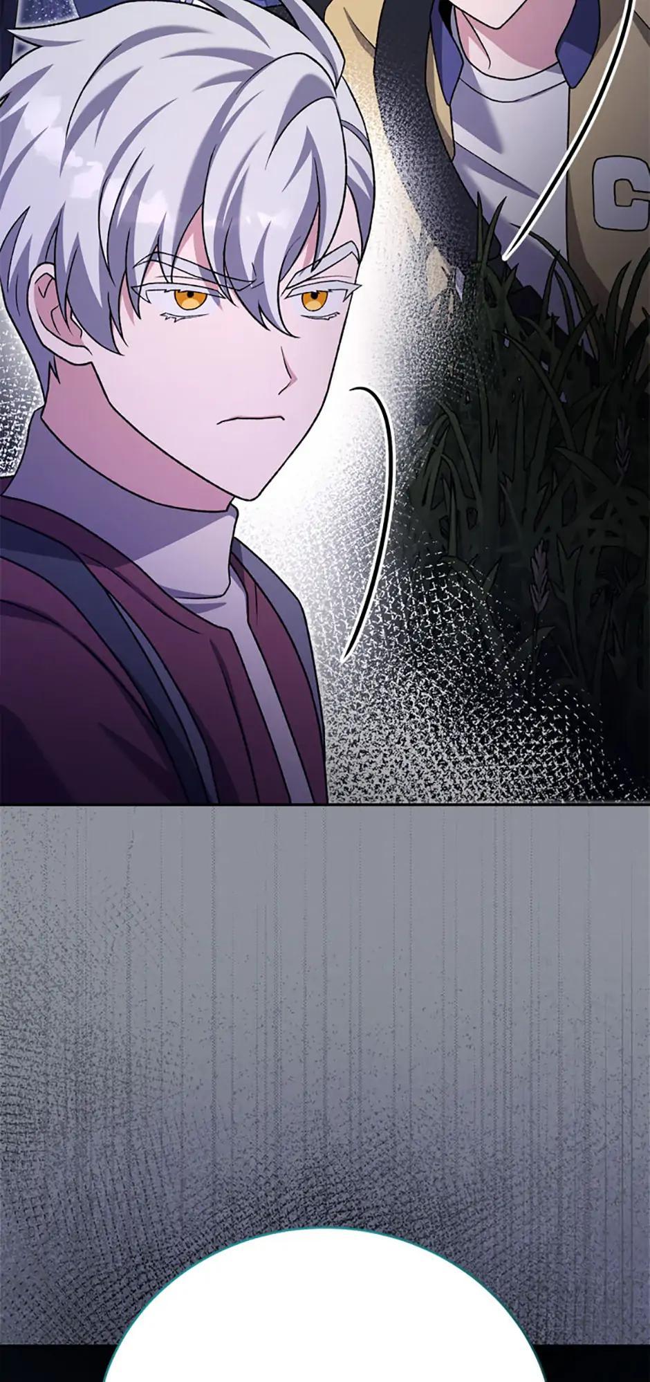 The Novel