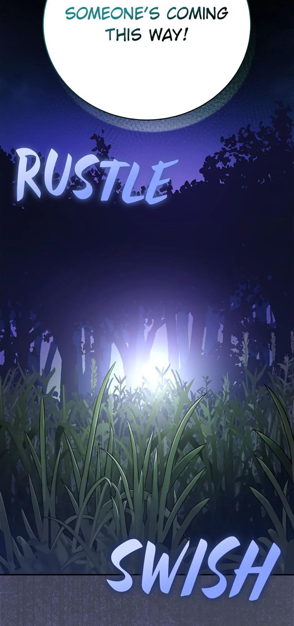The Novel