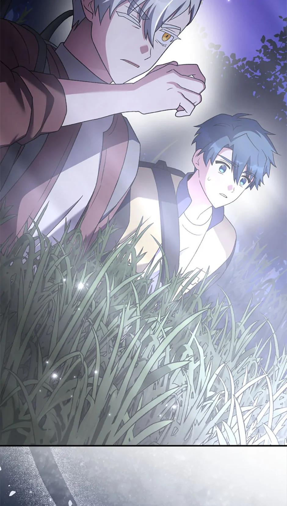 The Novel