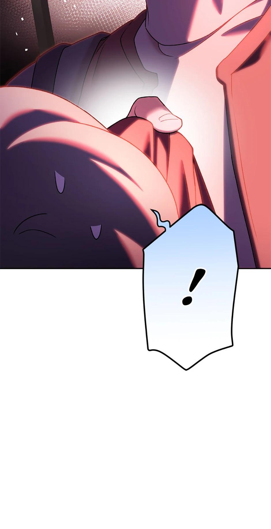 The Novel