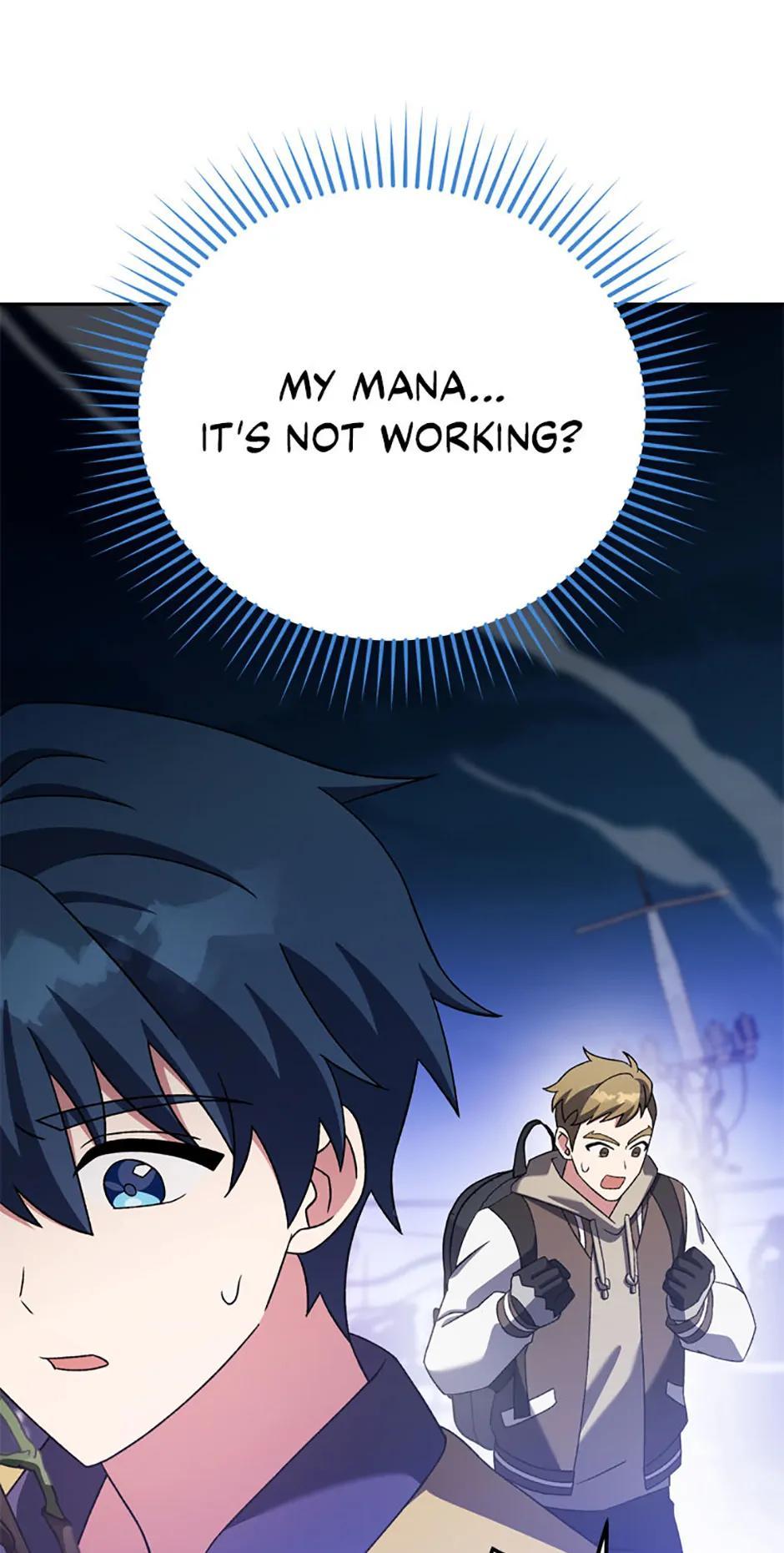 The Novel