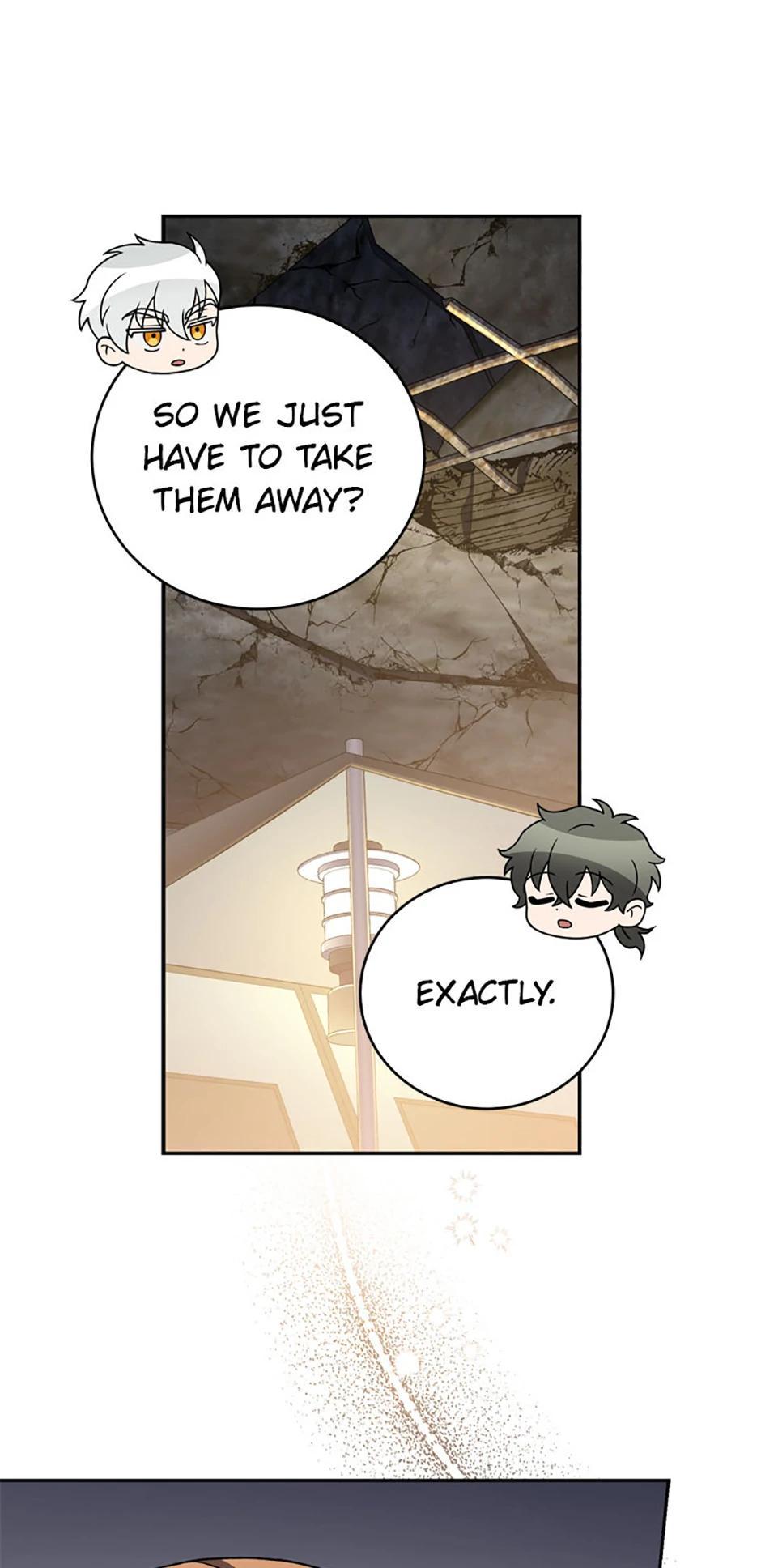 The Novel
