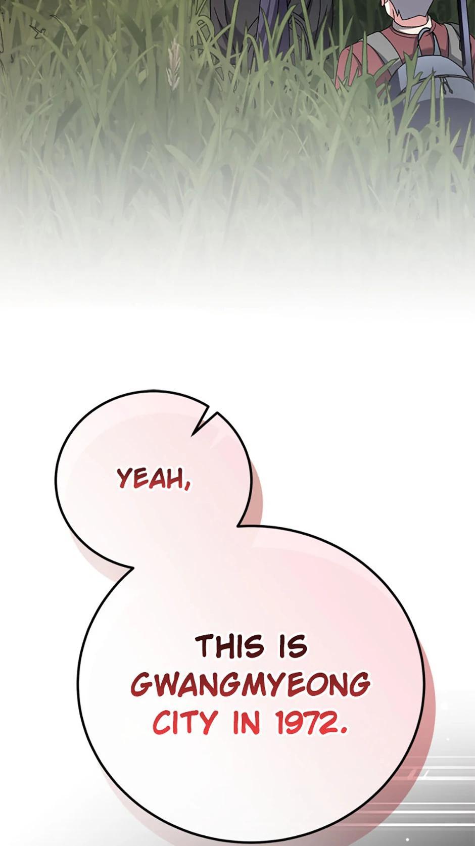 The Novel