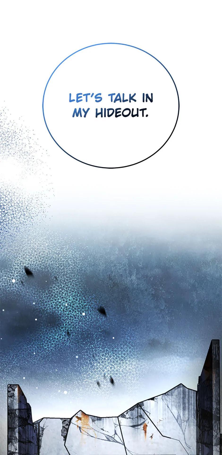 The Novel