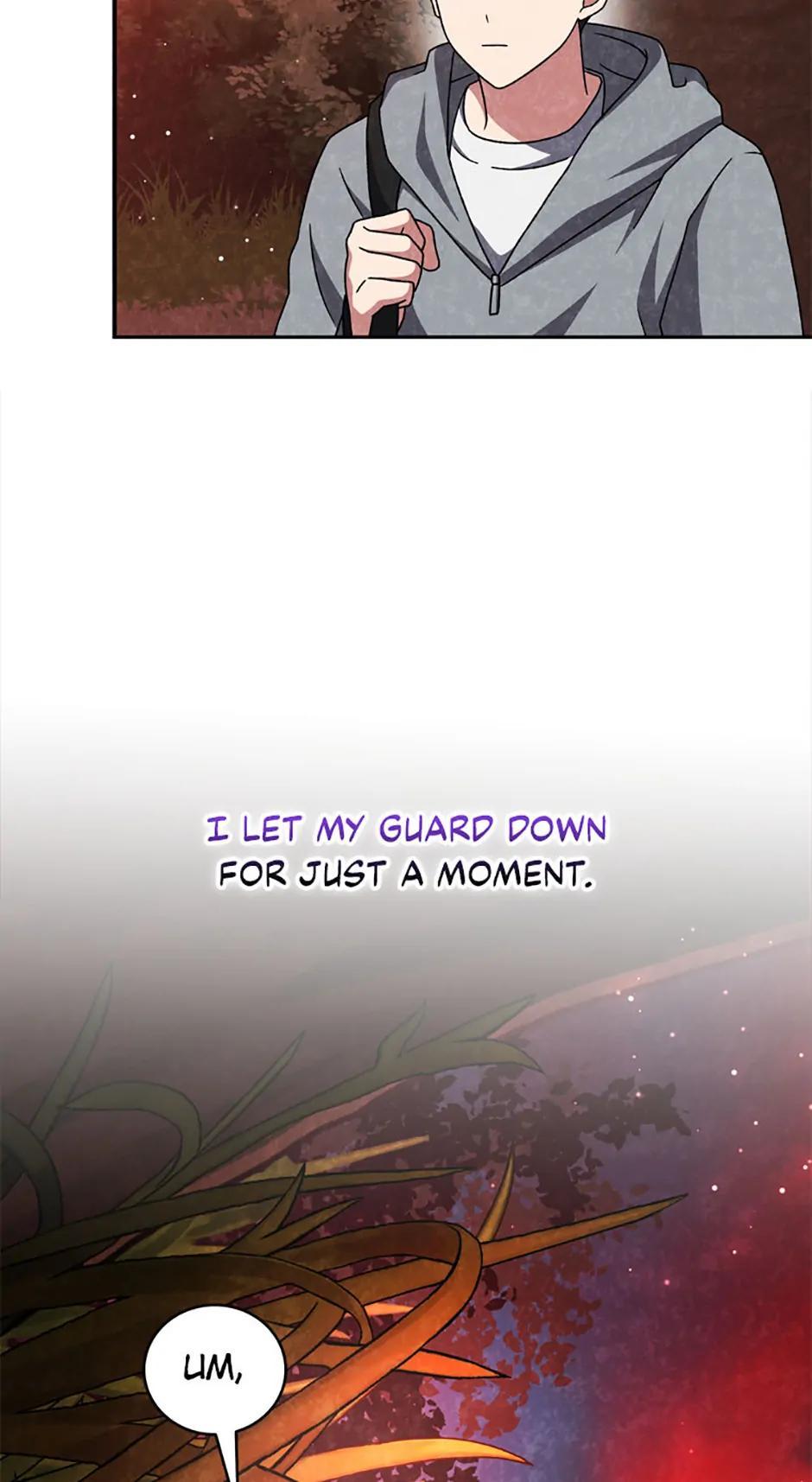 The Novel