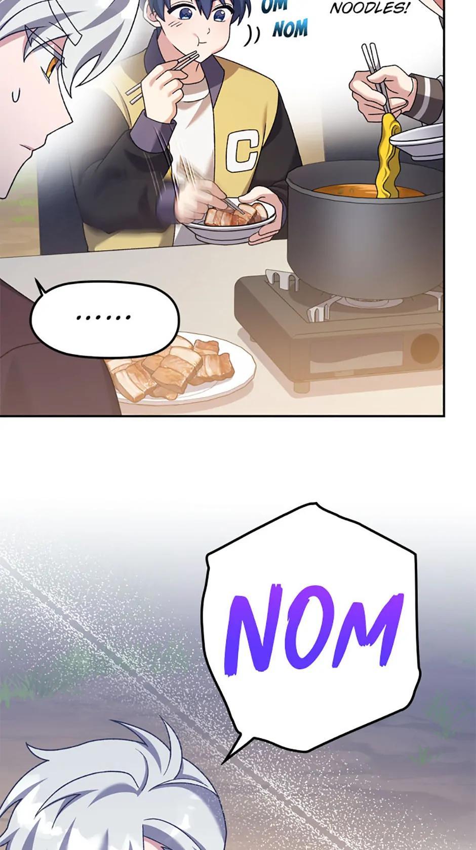 The Novel