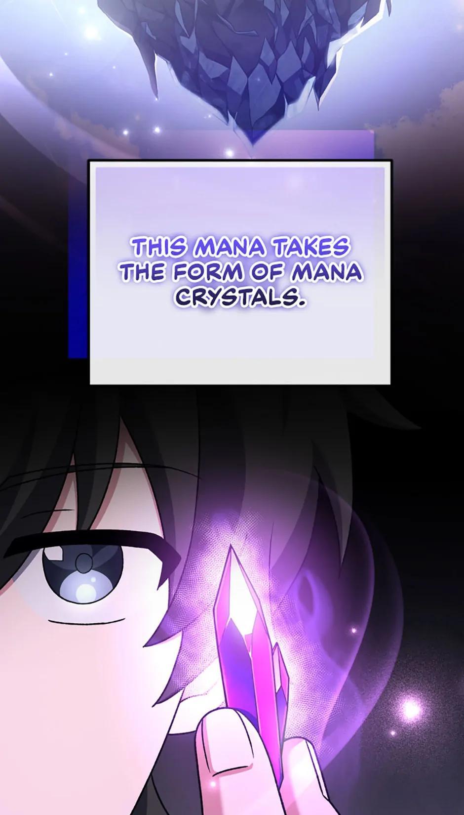 The Novel