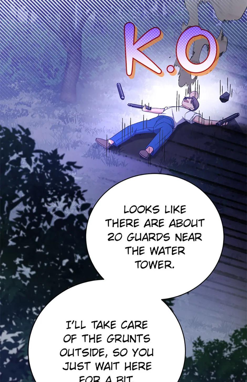 The Novel