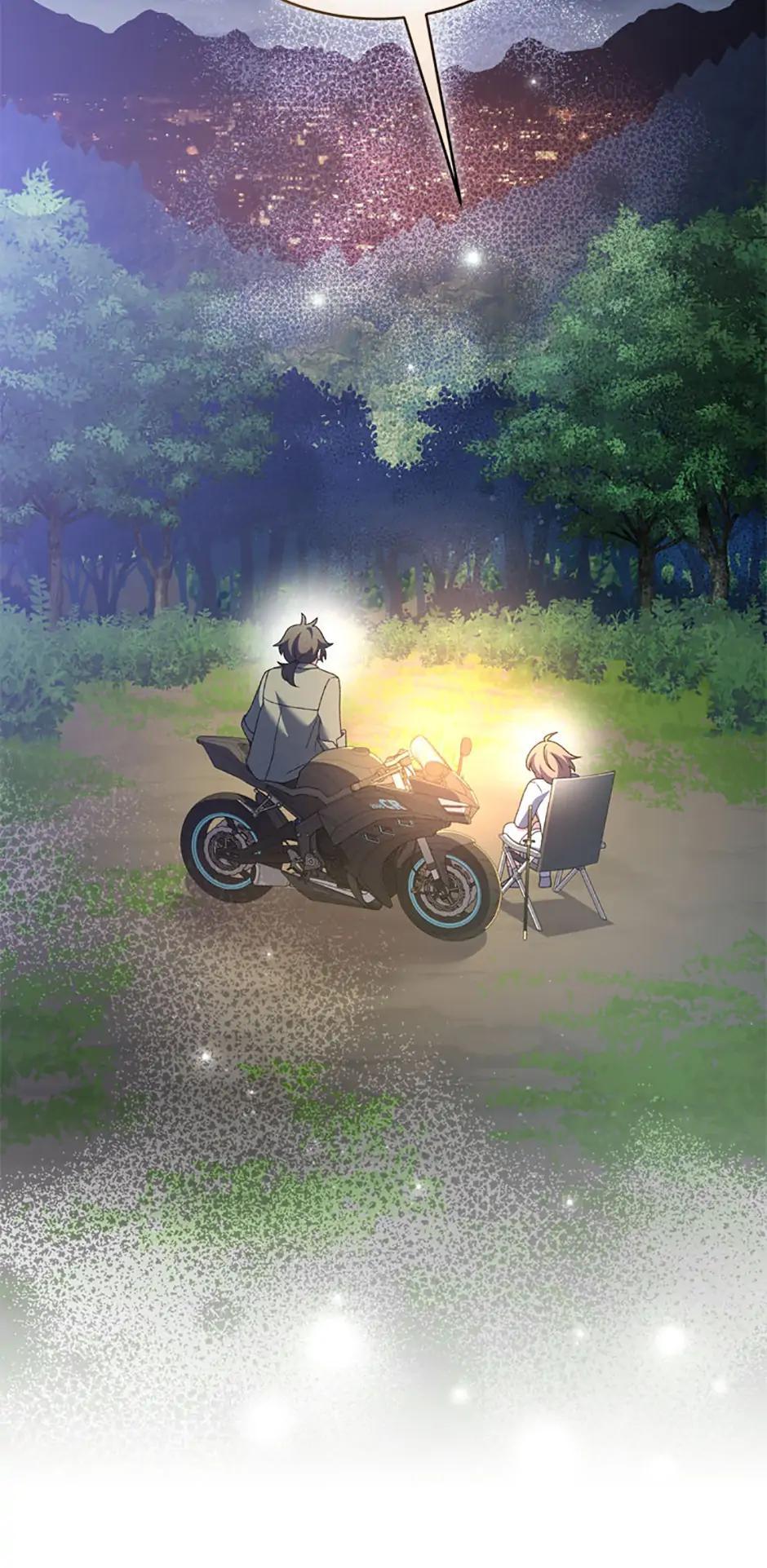The Novel