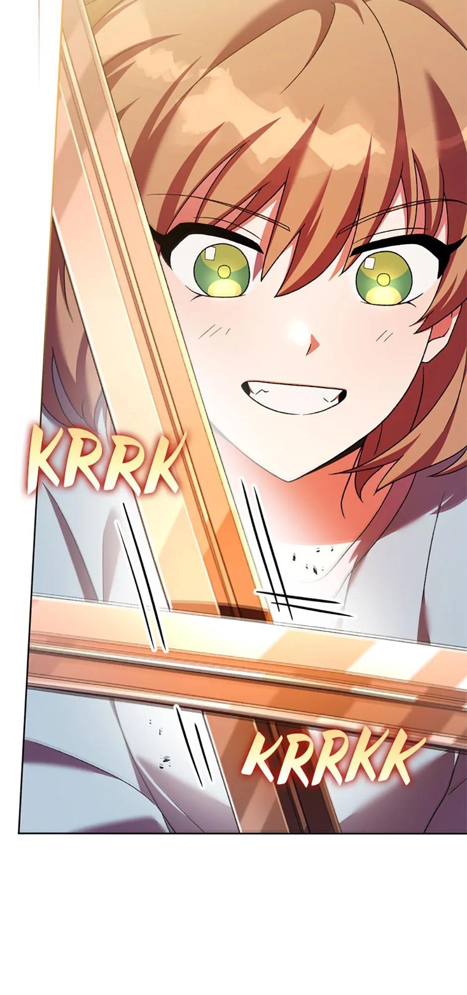 The Novel