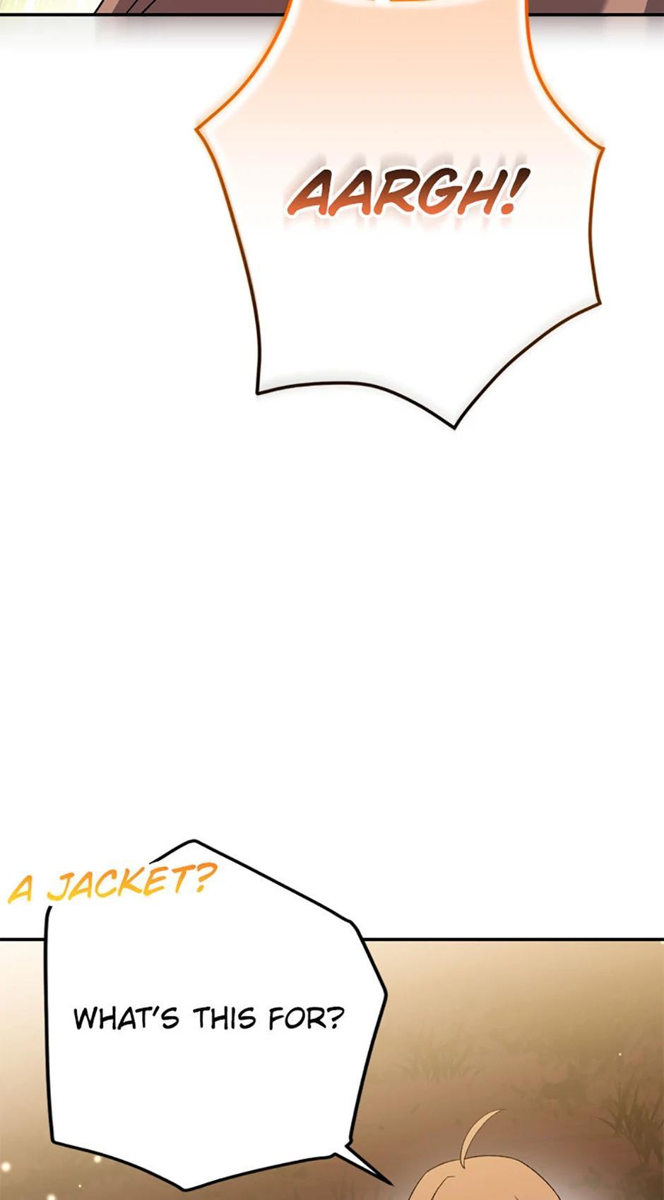 The Novel