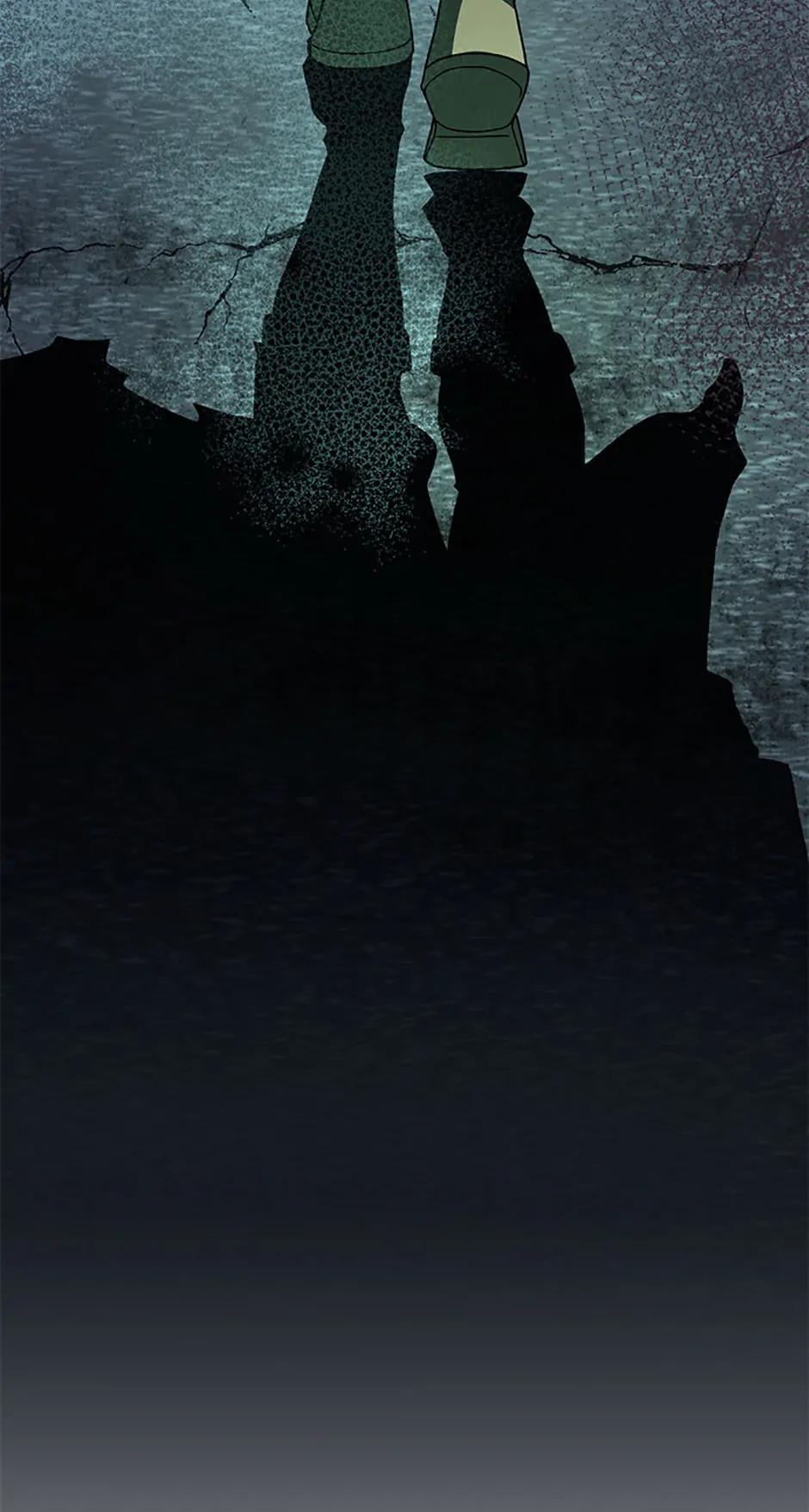 The Novel