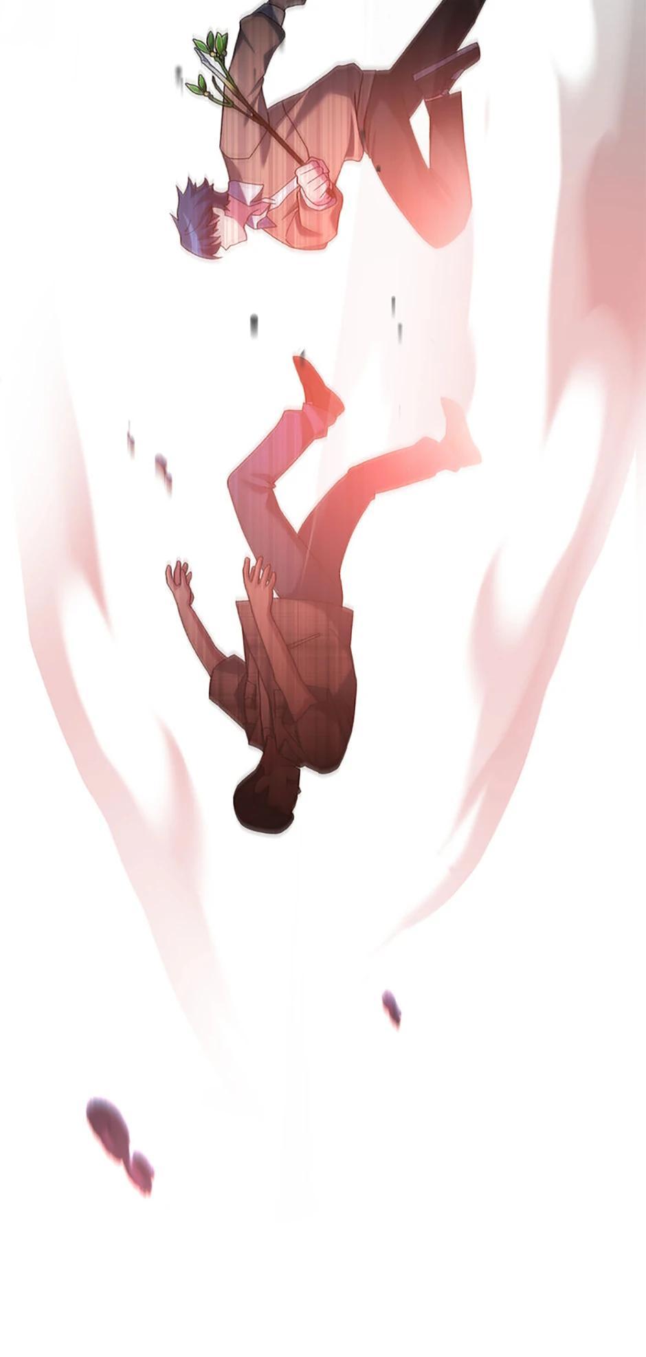 The Novel