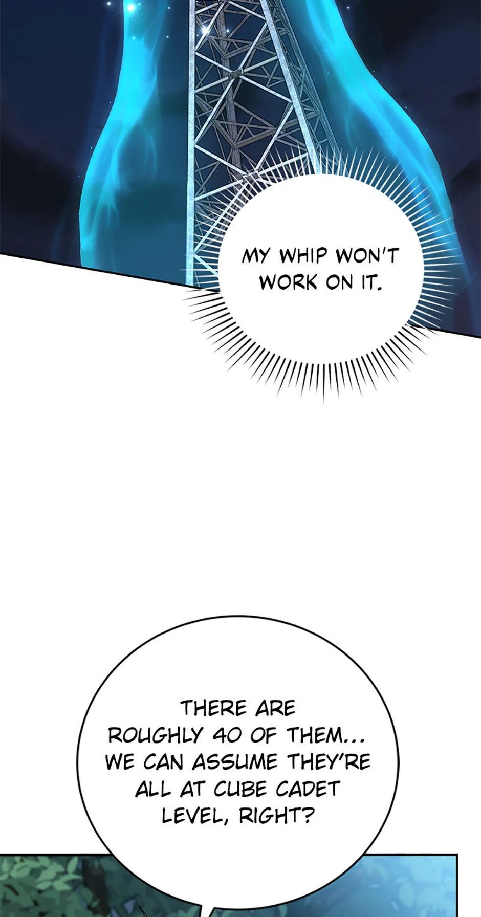 The Novel