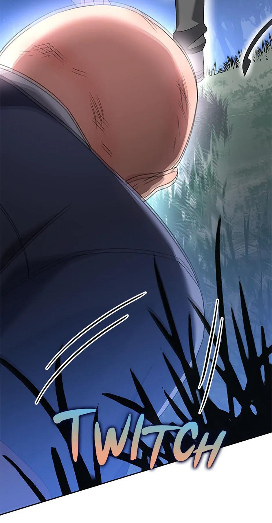 The Novel