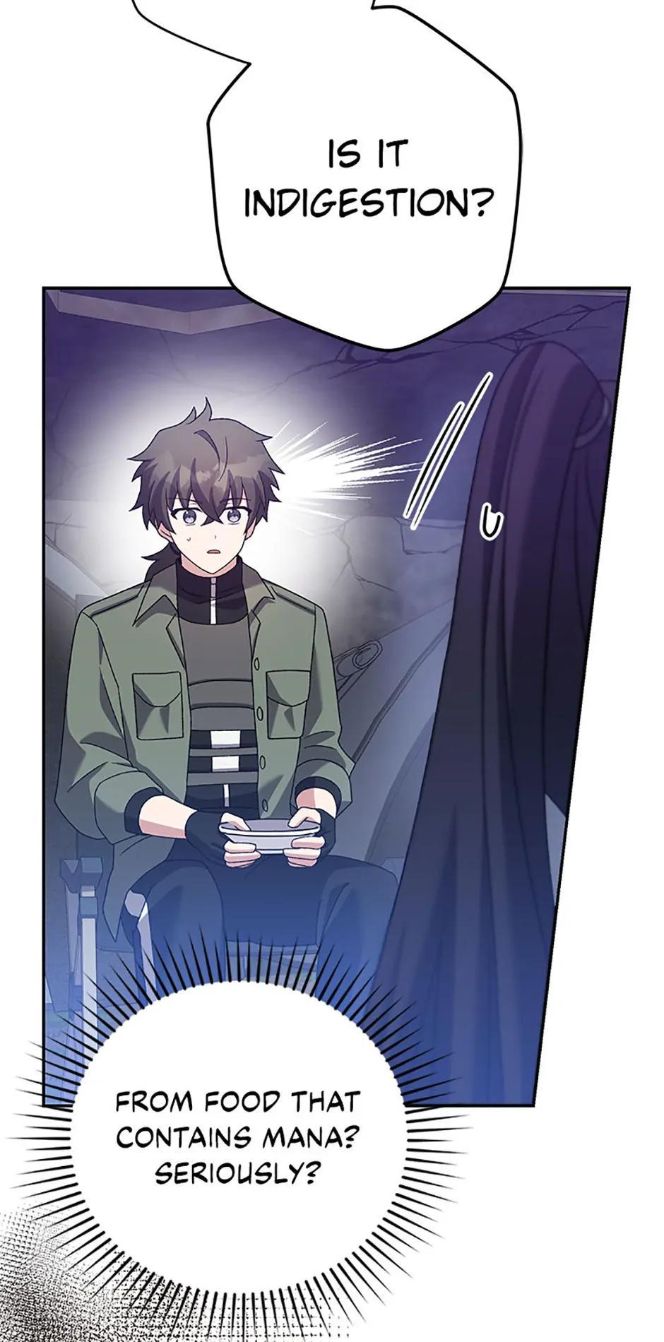The Novel
