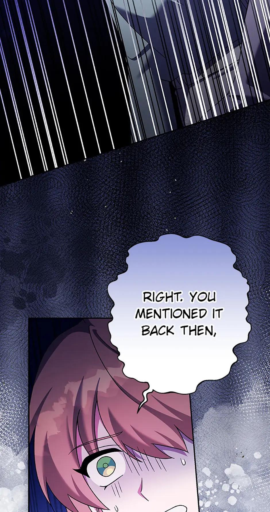The Novel