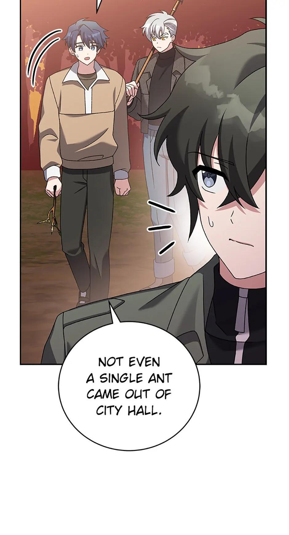 The Novel