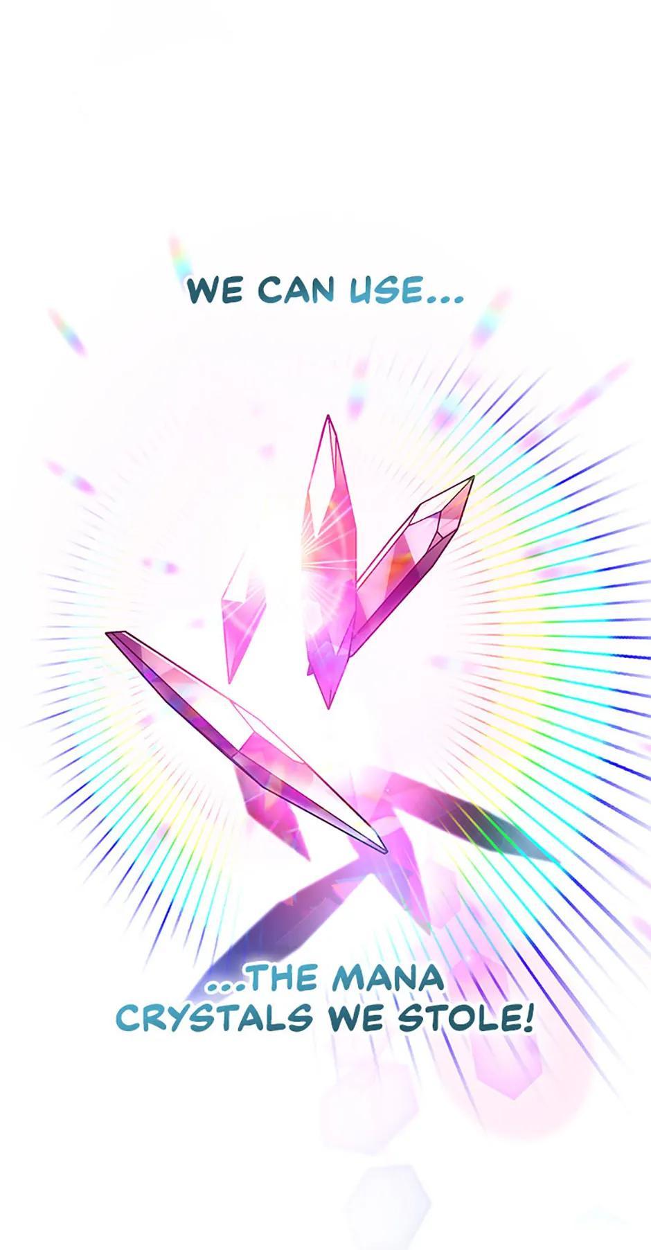 The Novel