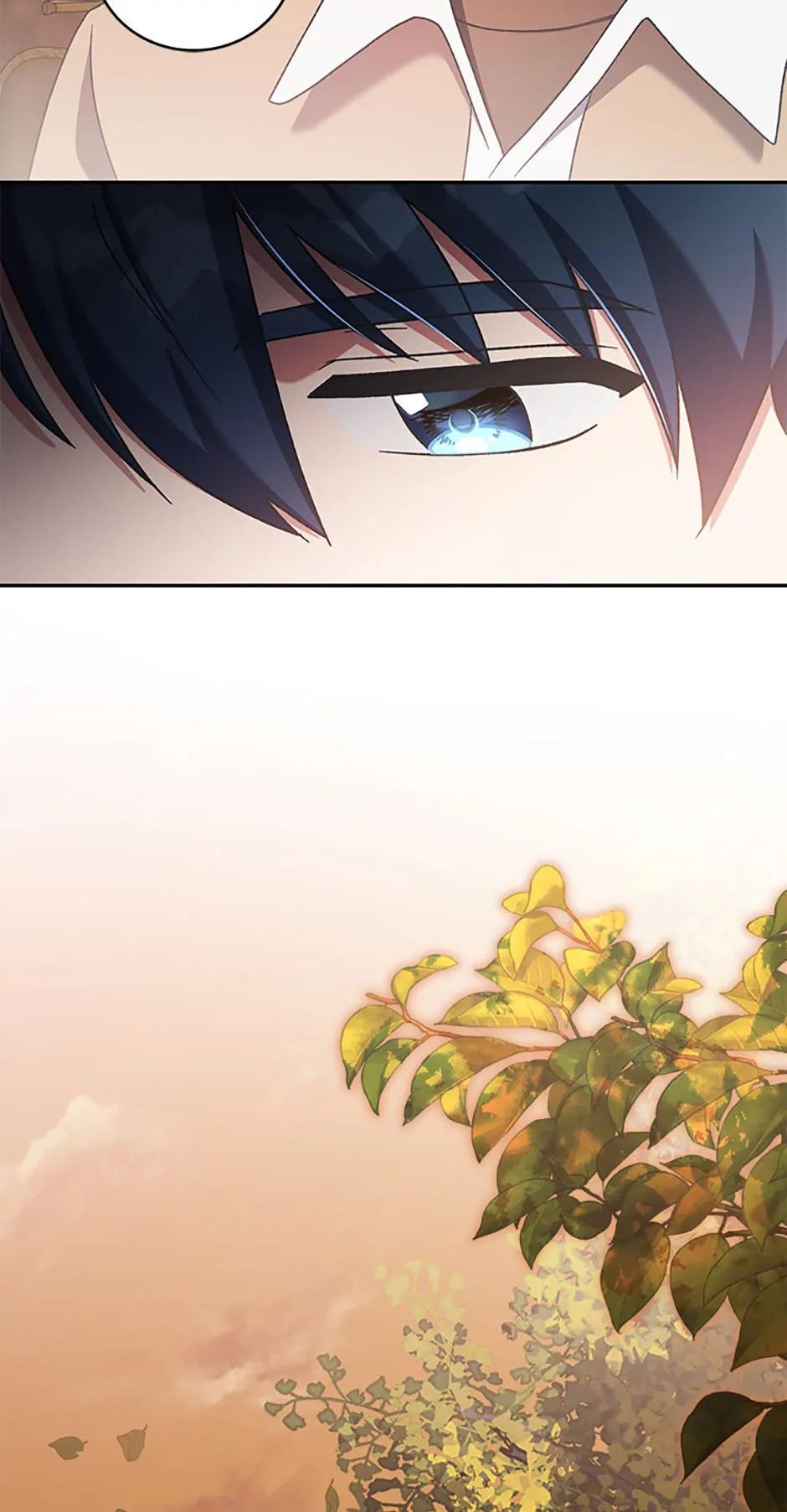 The Novel
