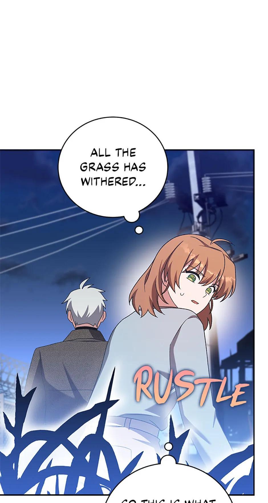The Novel