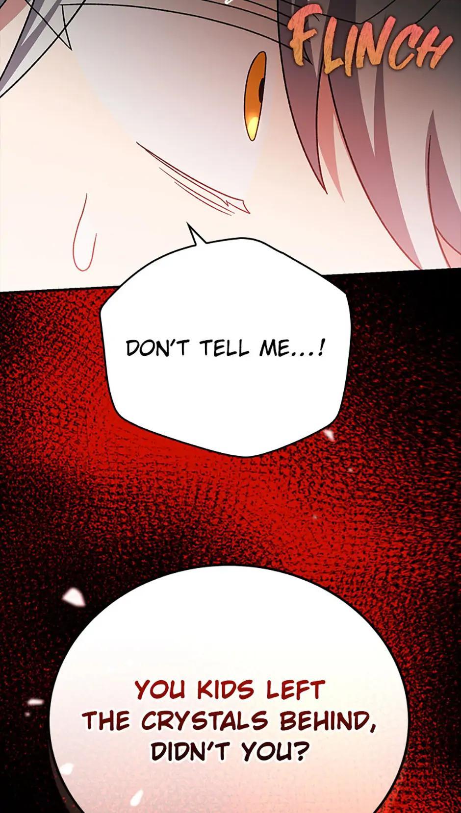 The Novel