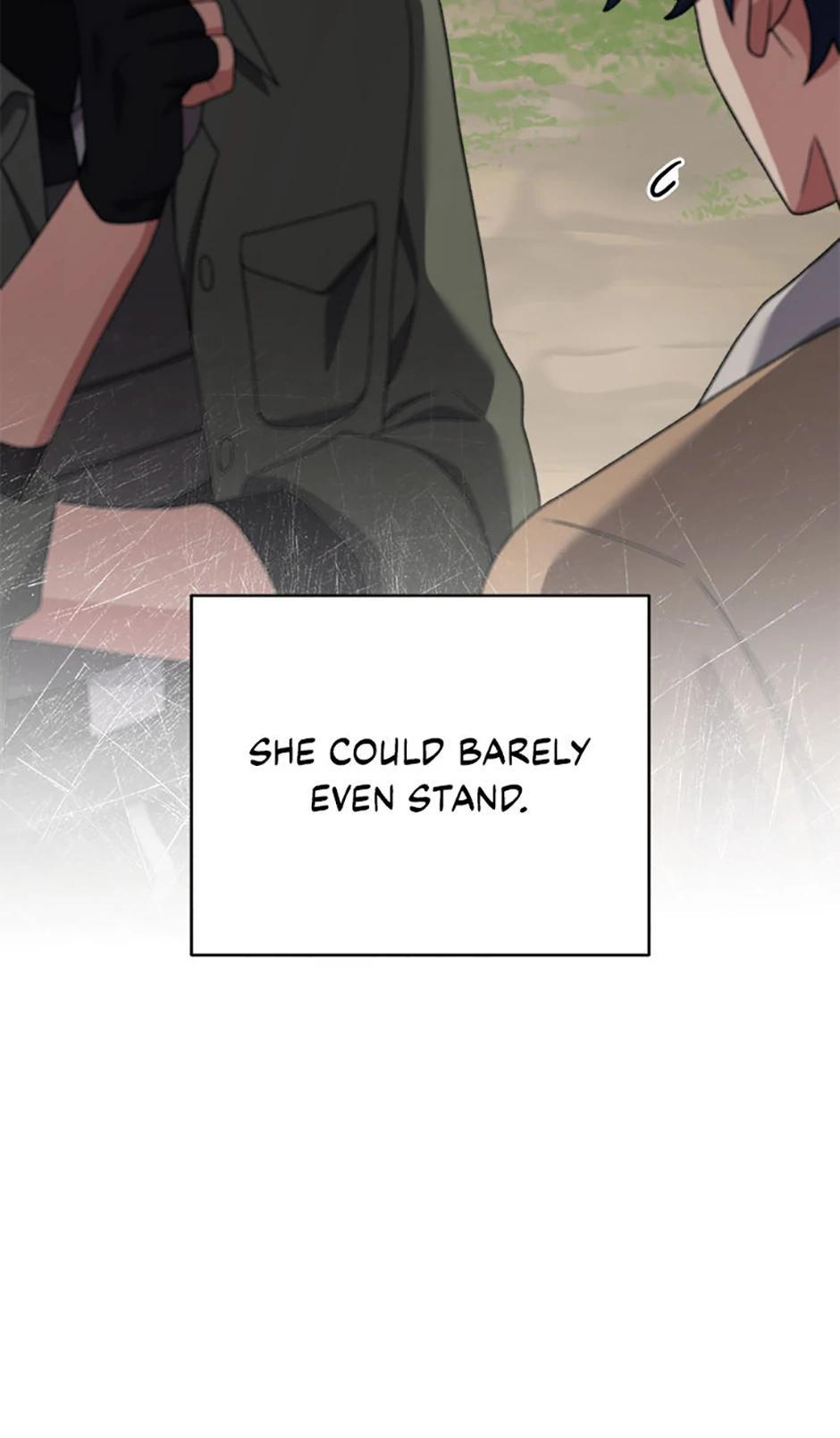 The Novel