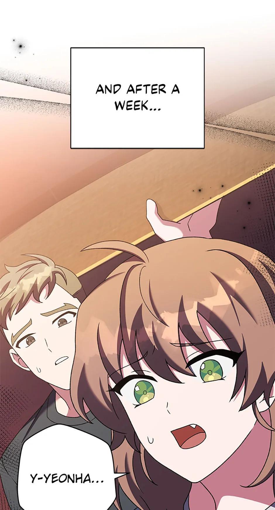 The Novel