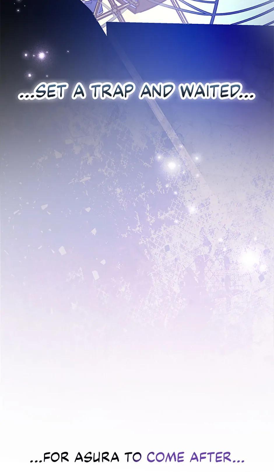 The Novel