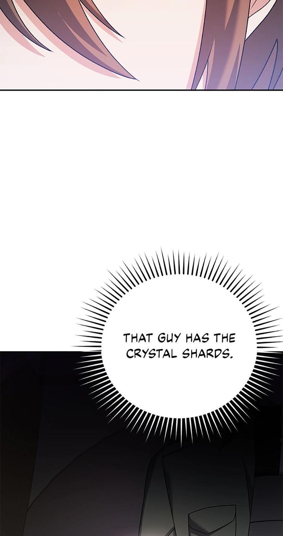 The Novel