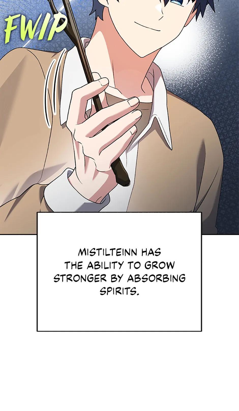 The Novel