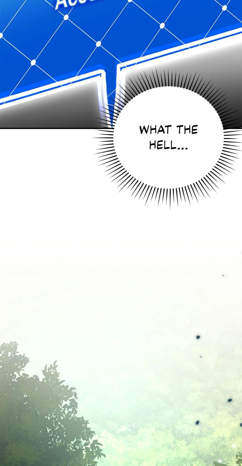 The Novel