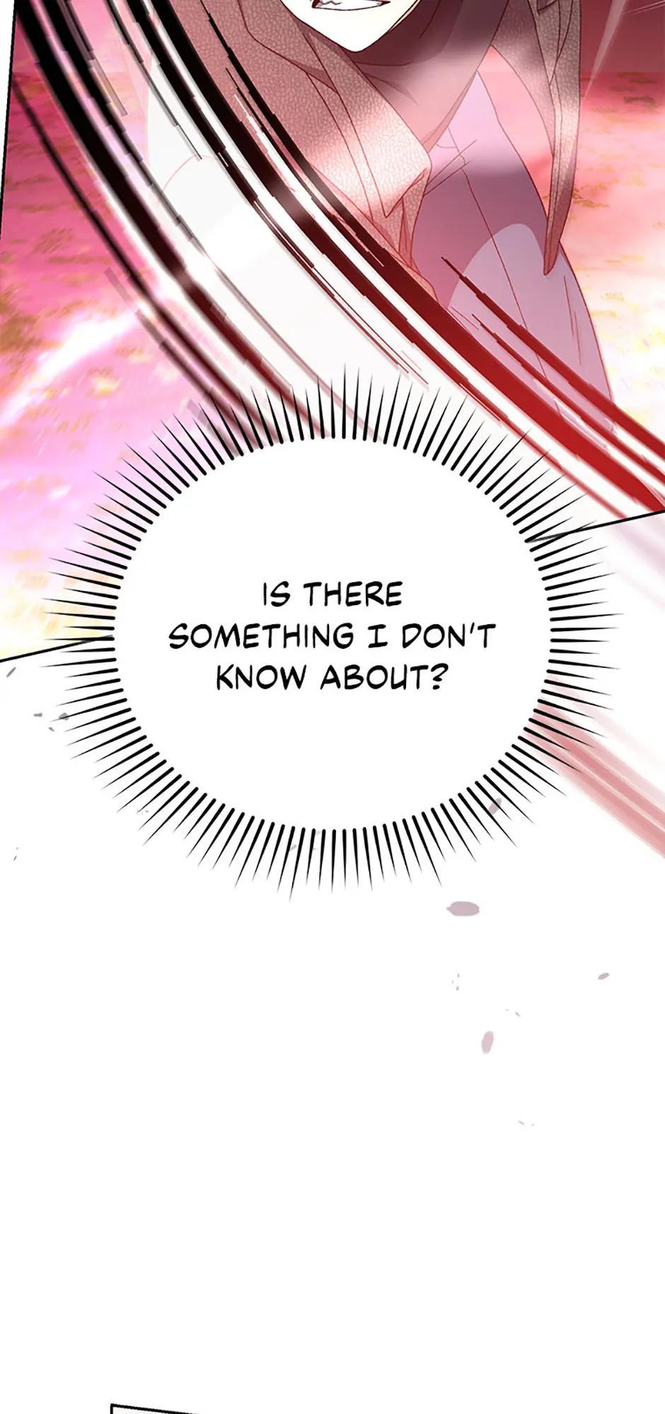 The Novel