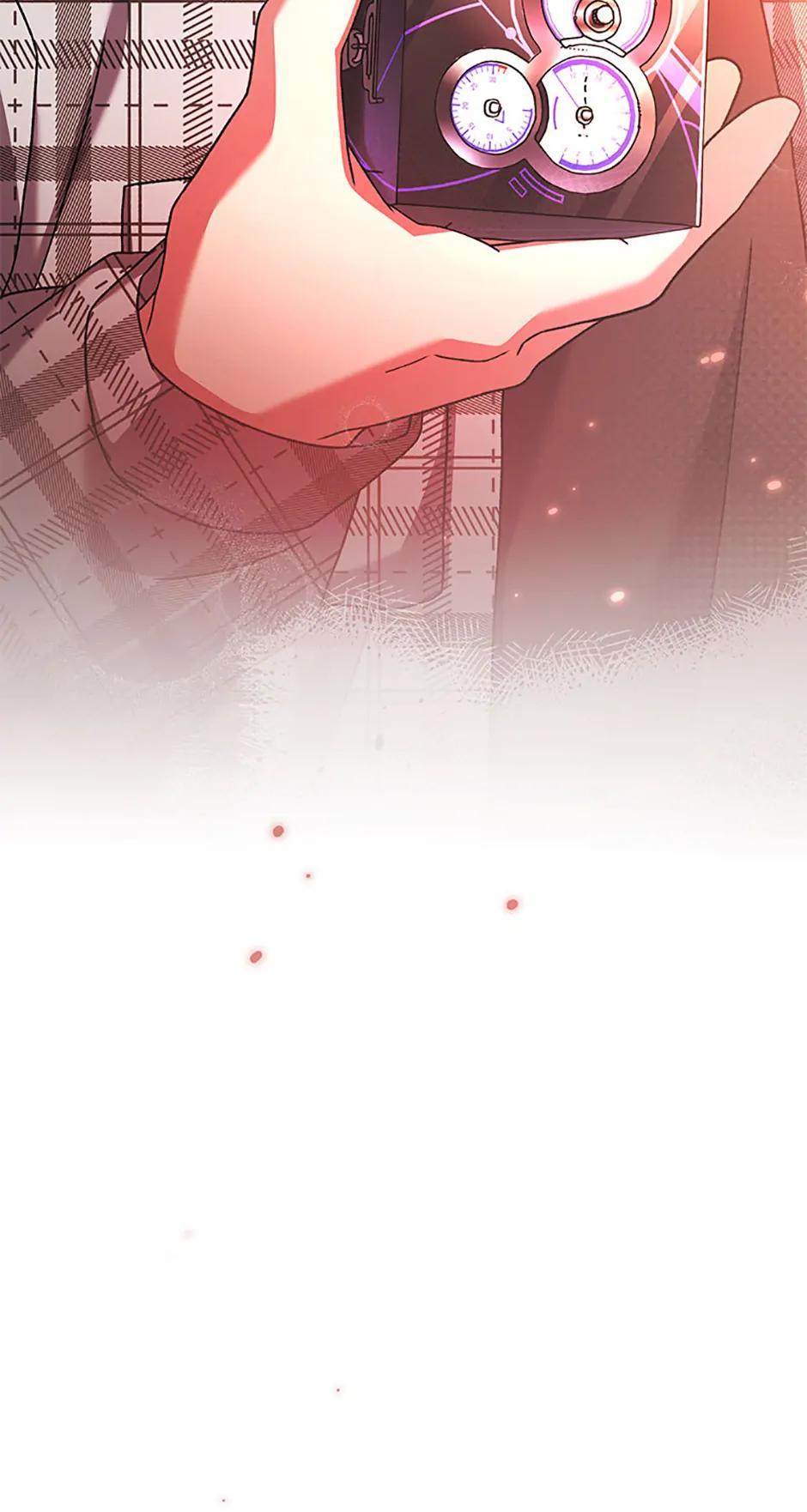 The Novel