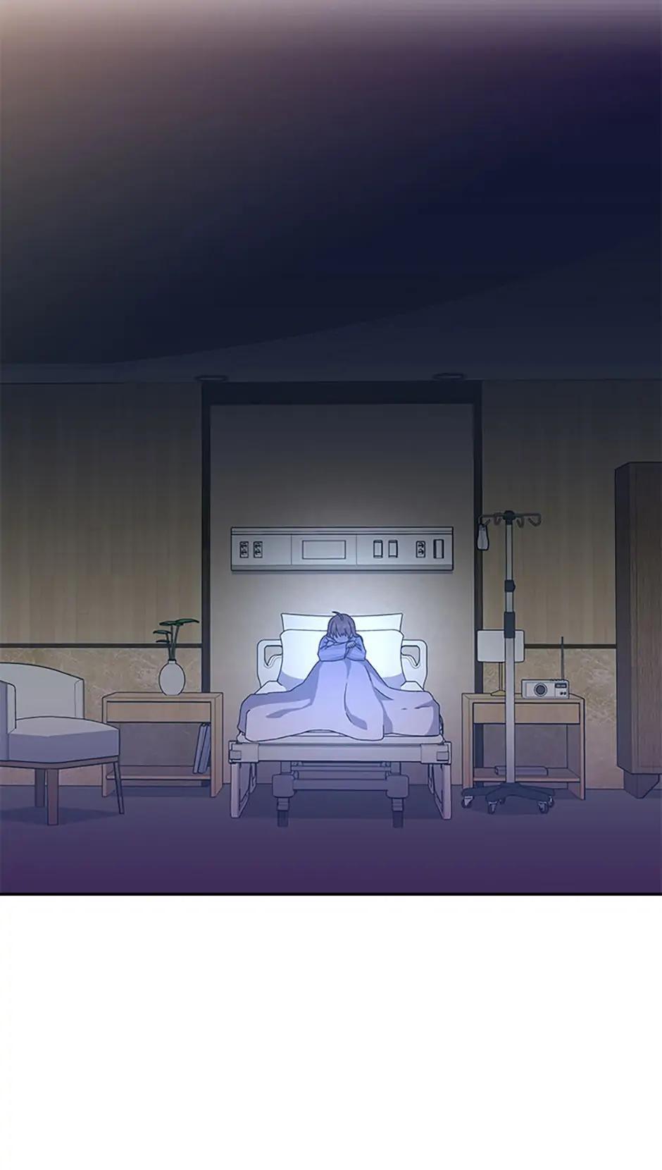 The Novel