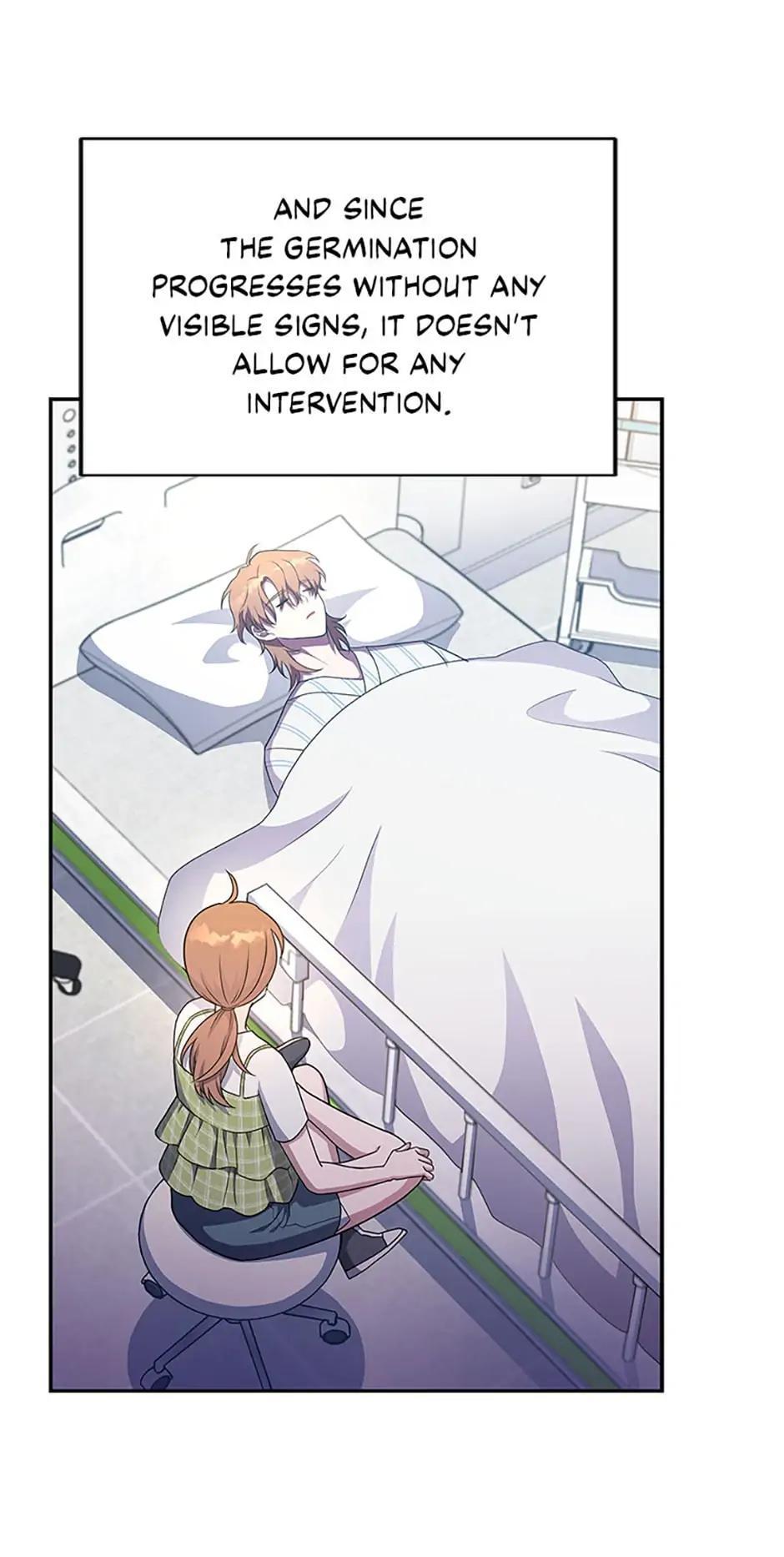 The Novel