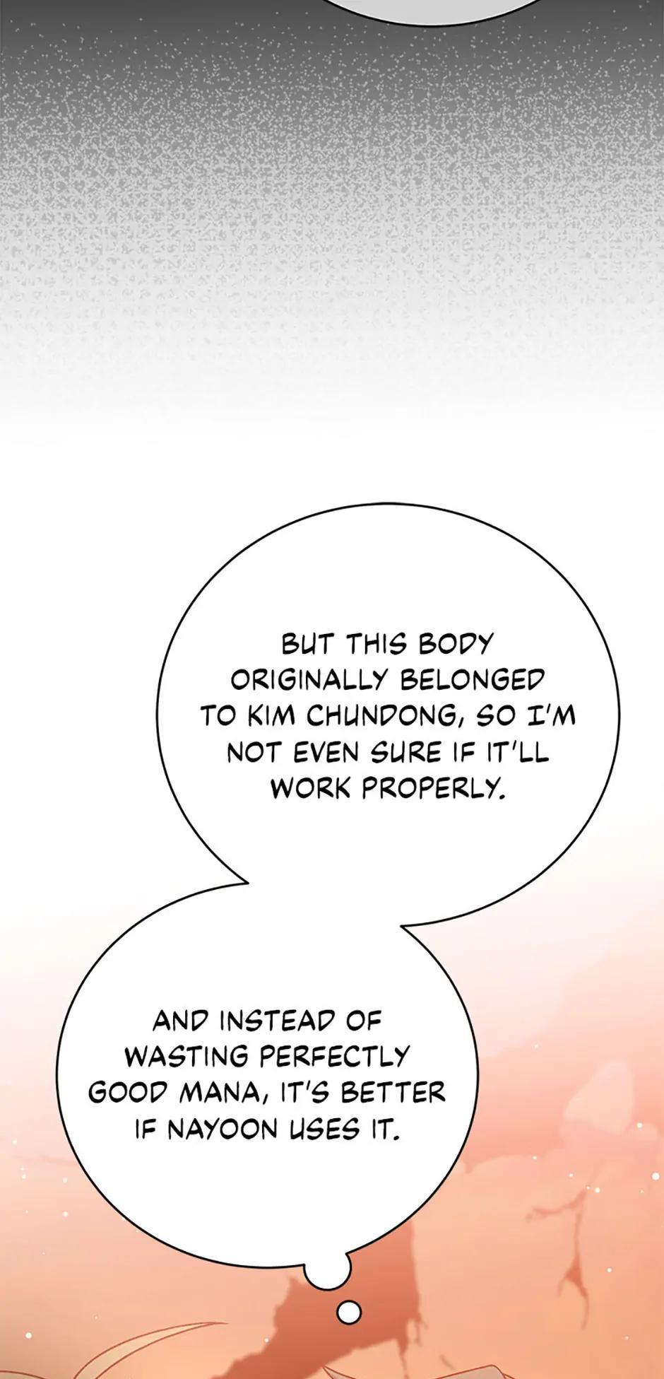 The Novel