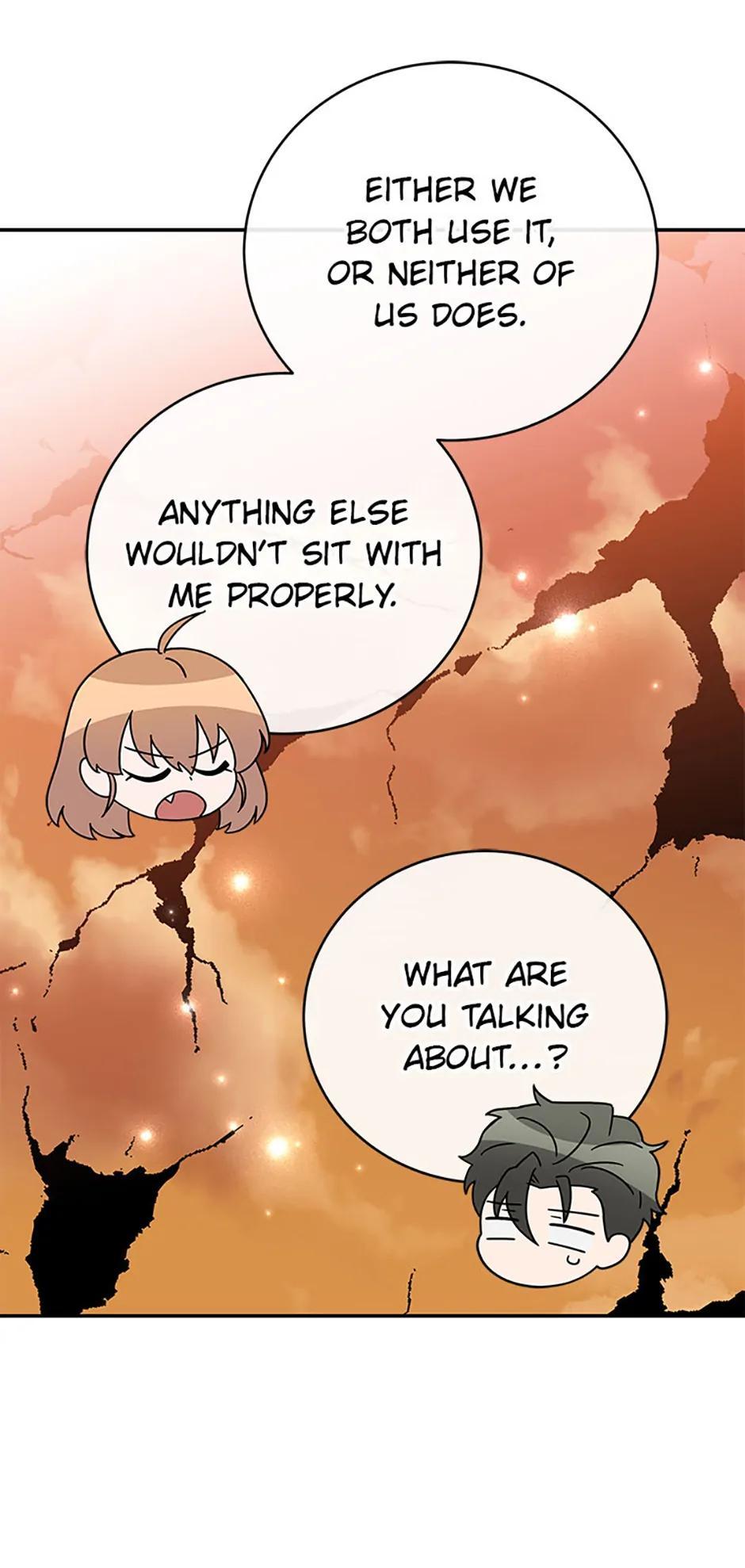 The Novel