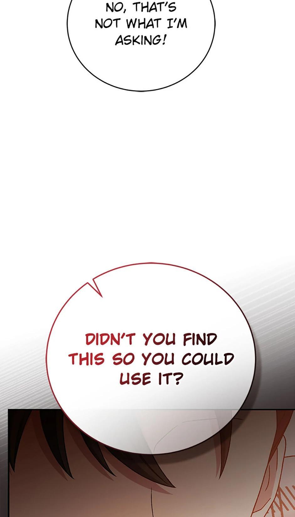 The Novel