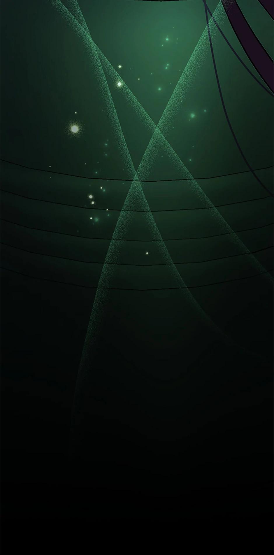 The Novel
