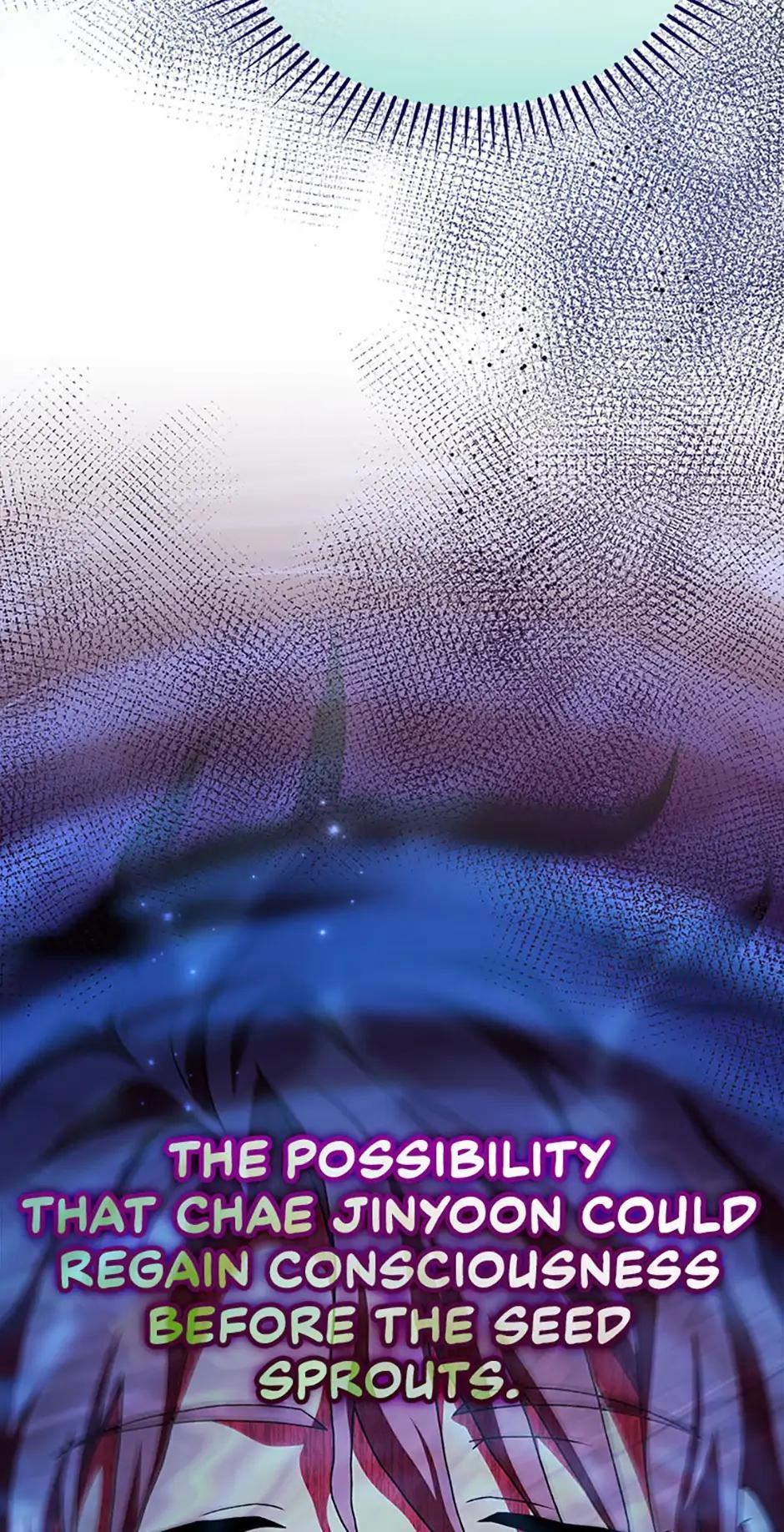 The Novel