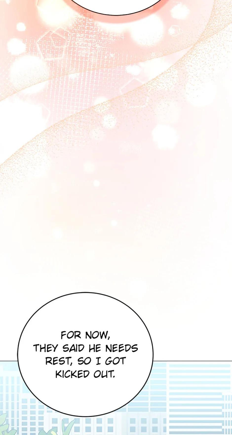 The Novel