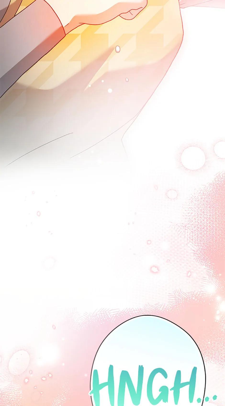 The Novel