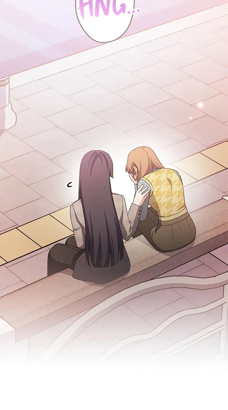 The Novel