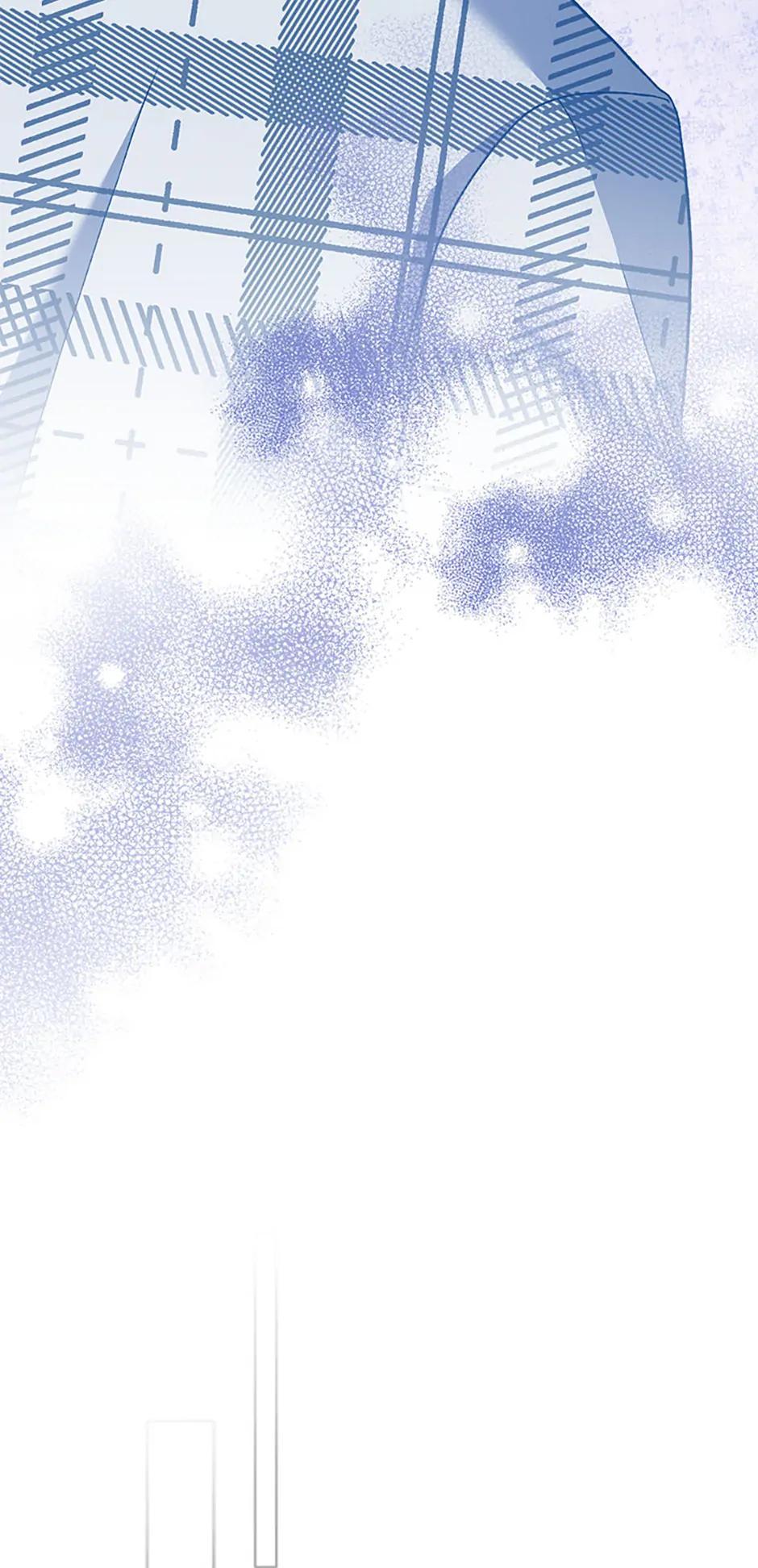 The Novel