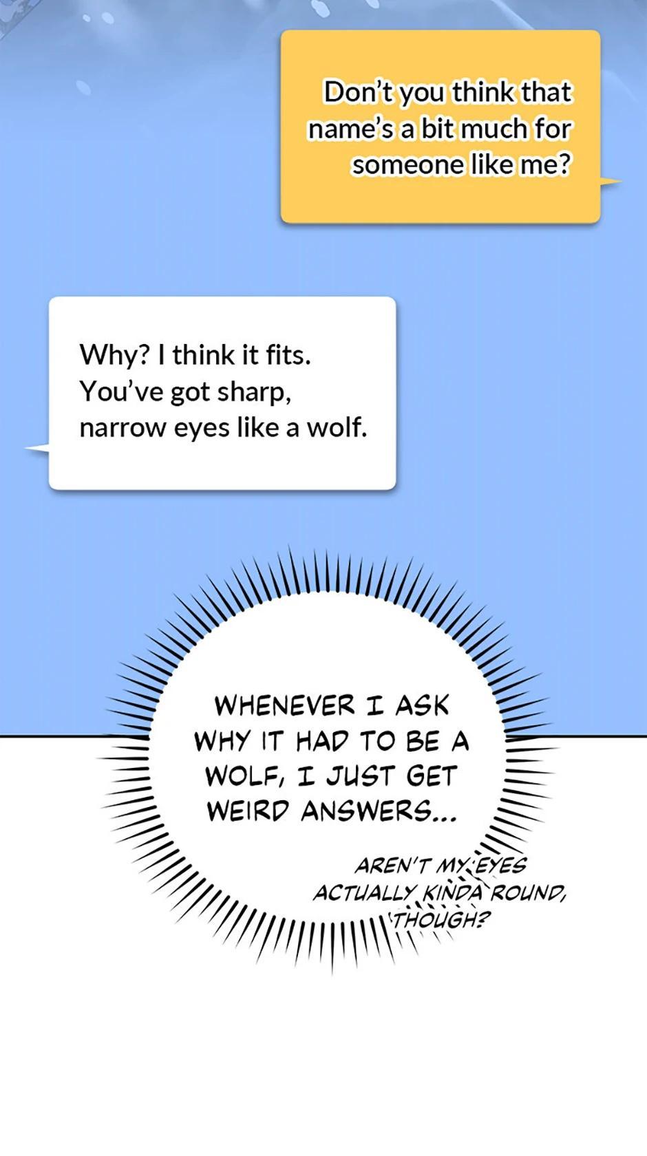 The Novel