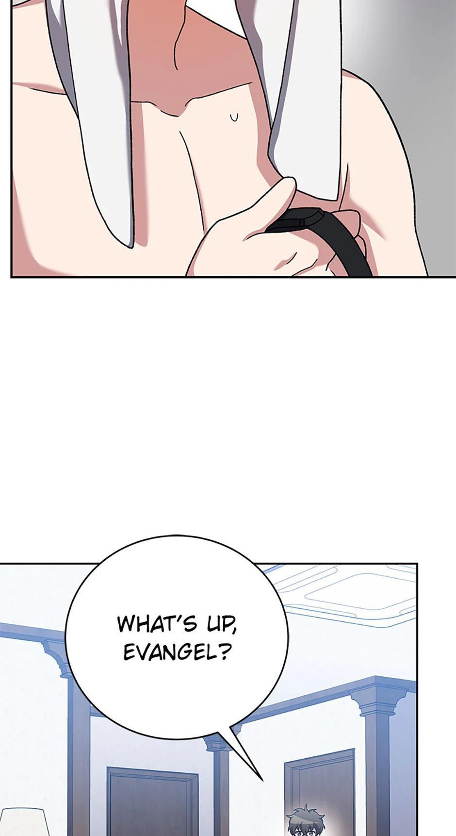 The Novel