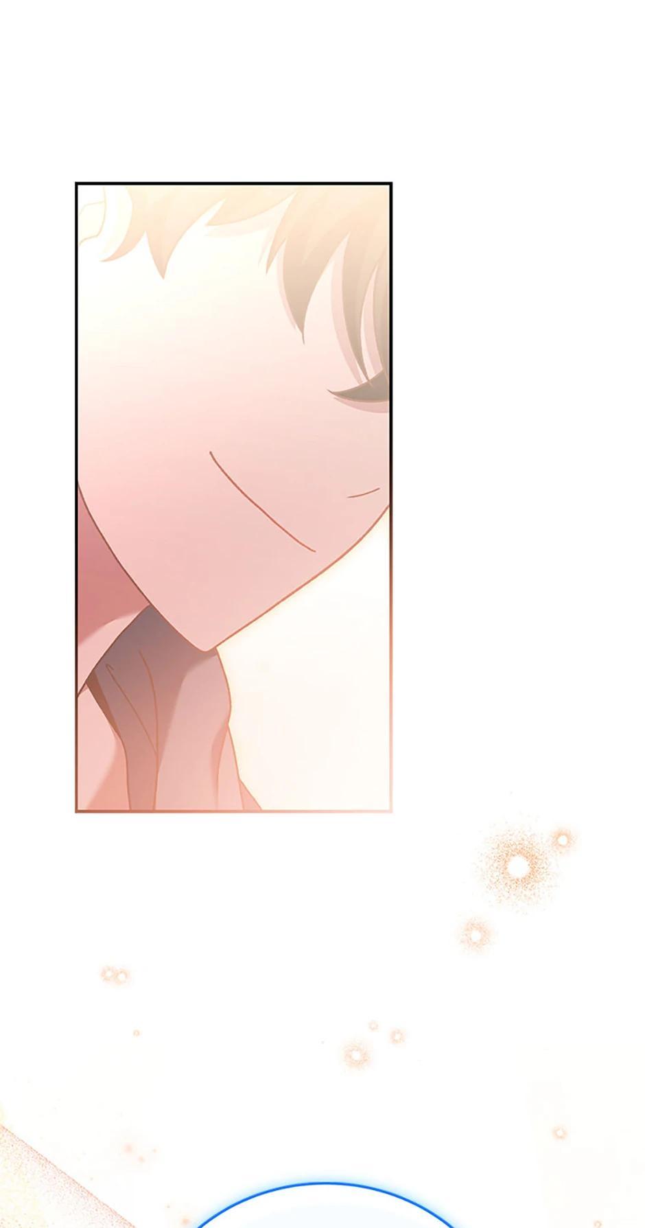 The Novel